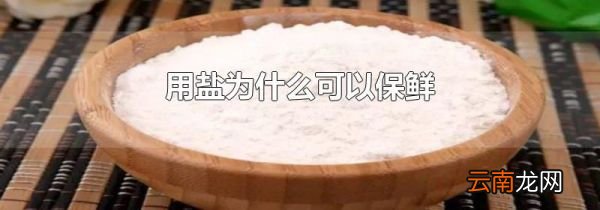 用盐为什么可以保鲜