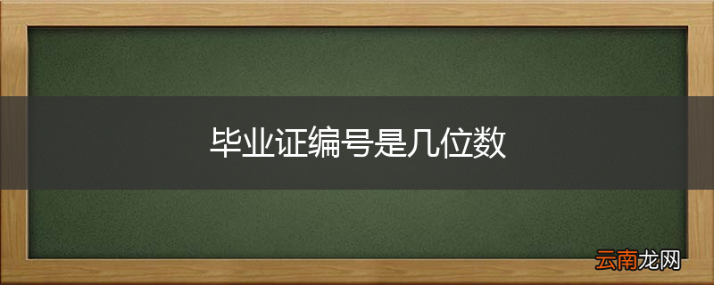 毕业证编号是几位数