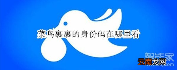 菜鸟裹裹的身份码在哪里看?