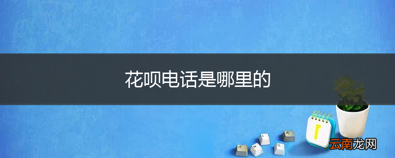 花呗电话是哪里的