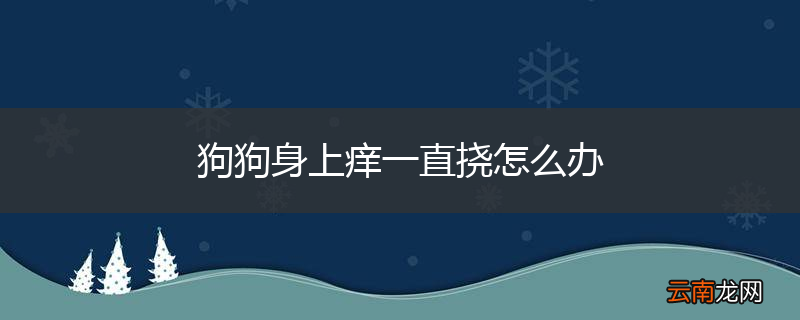 狗狗身上痒一直挠怎么办