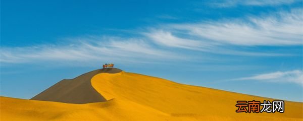 马云种树沙漠在哪里 马云的沙漠植树计划
