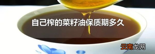 自己榨的菜籽油保质期多久