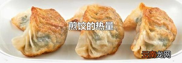 煎饺的热量