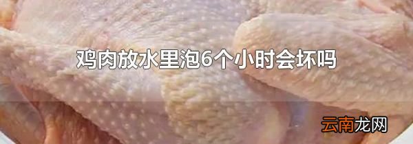 鸡肉放水里泡6个小时会坏吗