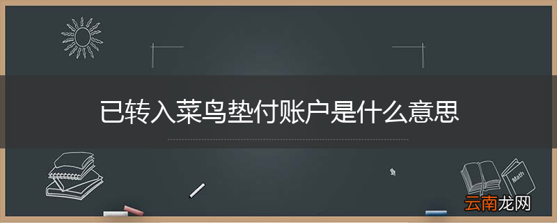 已转入菜鸟垫付账户是什么意思