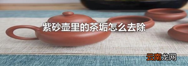 紫砂壶里的茶垢怎么去除