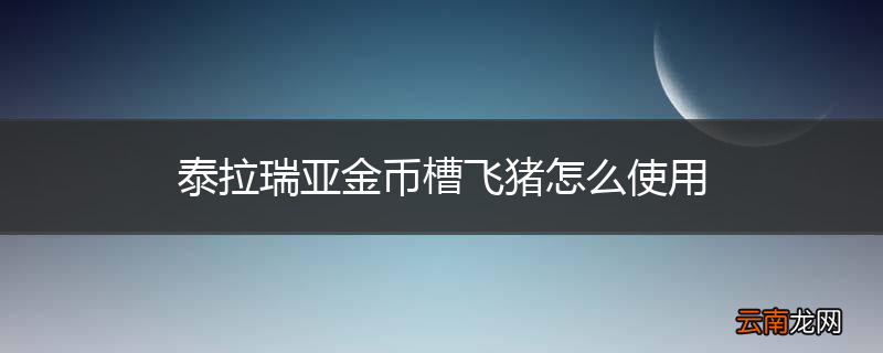 泰拉瑞亚金币槽飞猪怎么使用