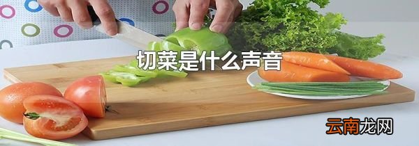 切菜是什么声音