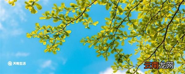 立夏是哪天 立夏是什么时候