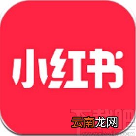 小红书app查看笔记作者头像大图的方法