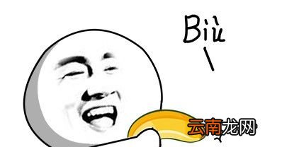 biu的中文是什么意思？
