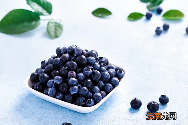 蓝莓功效 蓝莓有什么作用