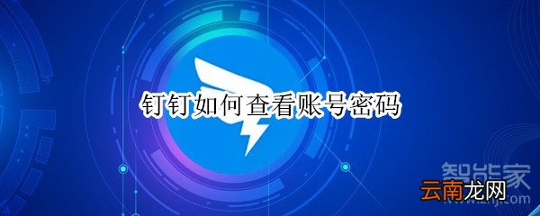 钉钉如何查看账号密码