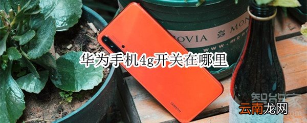 华为手机4g开关在哪里