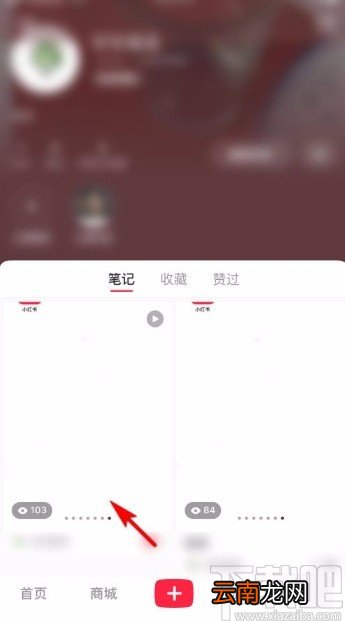 小红书app复制笔记链接的方法