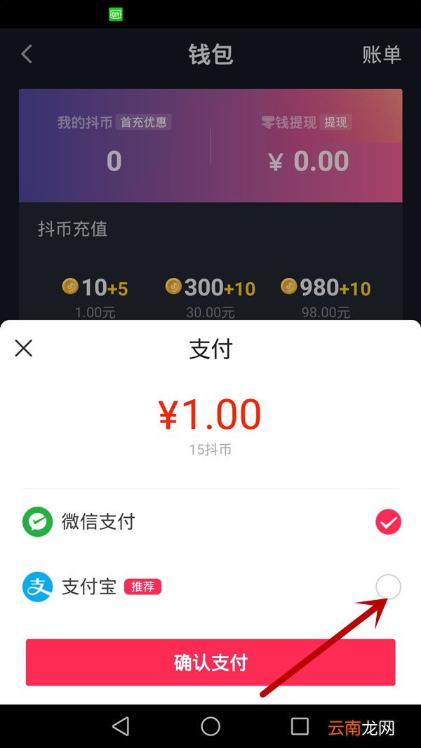 手机支付宝怎么充抖音币