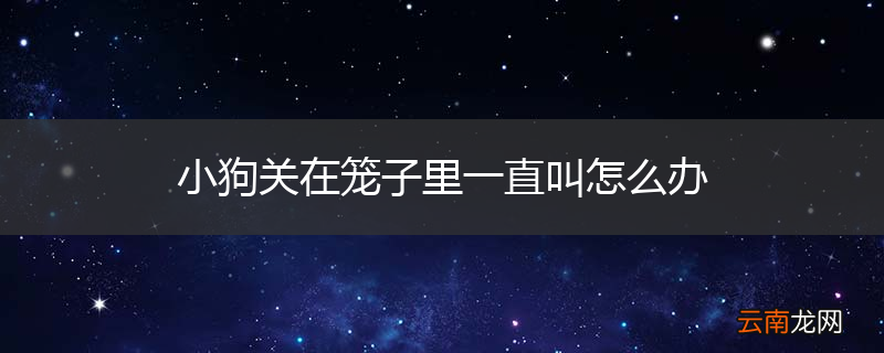 小狗关在笼子里一直叫怎么办