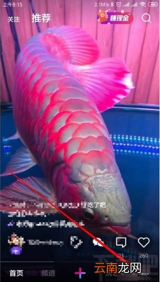 微视app允许已关注的人给自己发私信的方法