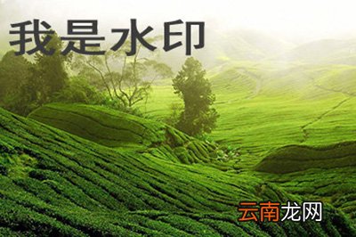 PS如何在图片上加logo？在图片上加logo技巧分享