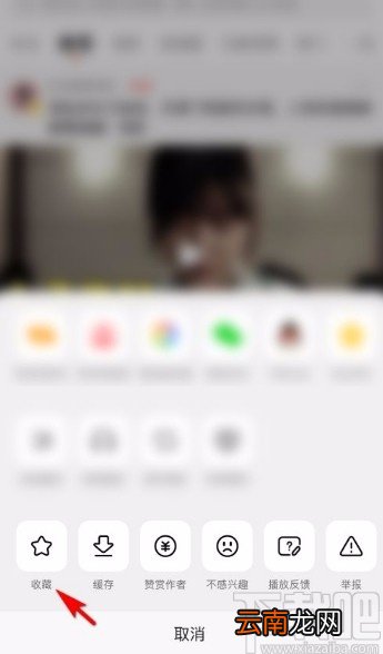 西瓜视频app收藏视频的方法