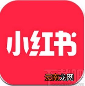 小红书app回复评论的方法