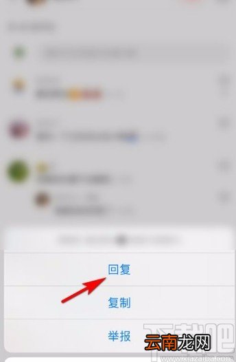 小红书app回复评论的方法