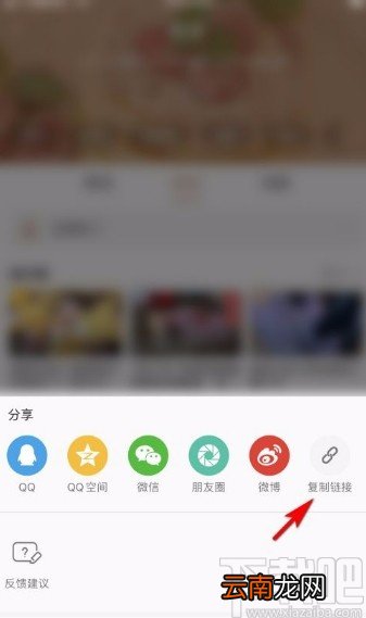 哔哩哔哩app复制频道链接的方法