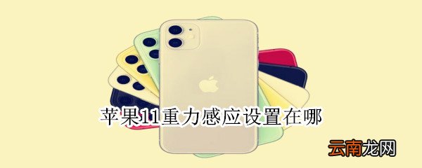 苹果11重力感应设置在哪