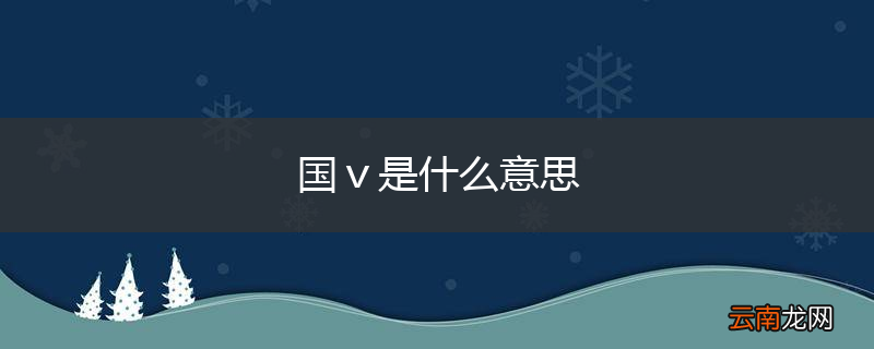 国ⅴ是什么意思
