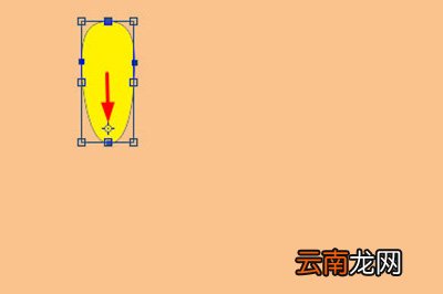 PS如何画花朵形状 画花朵形状方法介绍