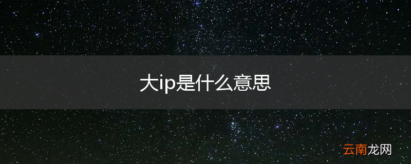 大ip是什么意思