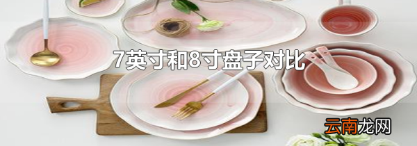 7英寸和8寸盘子对比