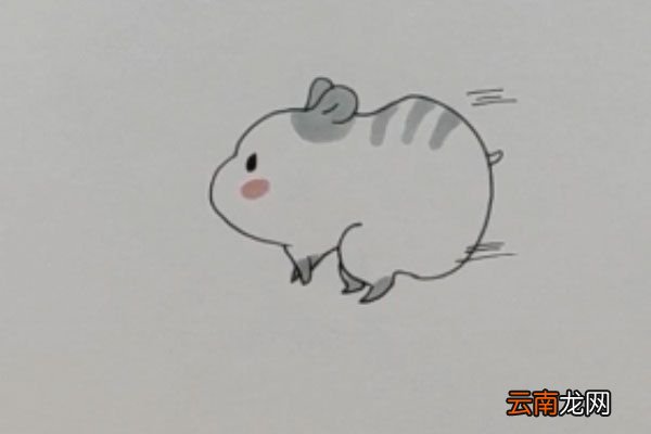 小仓鼠简笔画