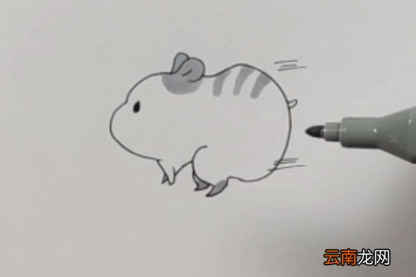 小仓鼠简笔画