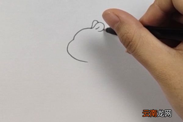 小仓鼠简笔画