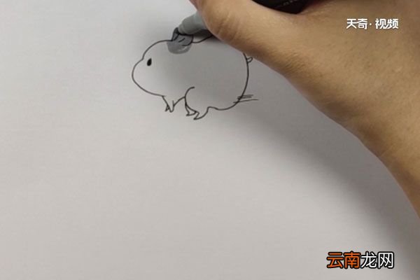 小仓鼠简笔画