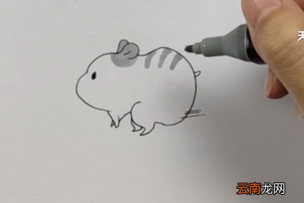 小仓鼠简笔画
