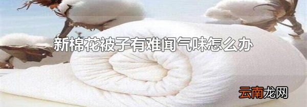新棉花被子有难闻气味怎么办