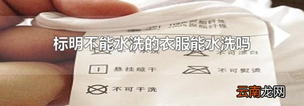 标明不能水洗的衣服能水洗吗