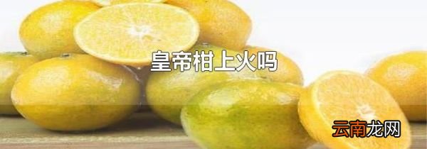 皇帝柑上火吗