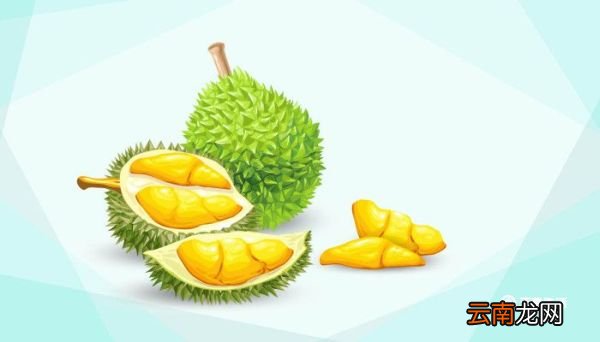 榴莲多久成熟一次 水果榴莲多久成熟一次