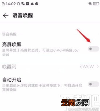 vivo手机开启亮屏唤醒功能的方法