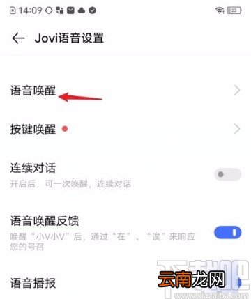 vivo手机开启亮屏唤醒功能的方法