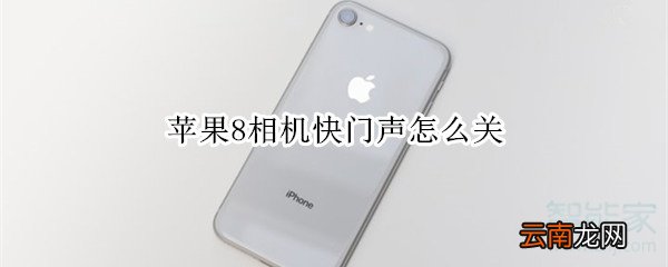 苹果8相机快门声怎么关