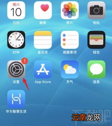 苹果手机设置短信提示音的方法