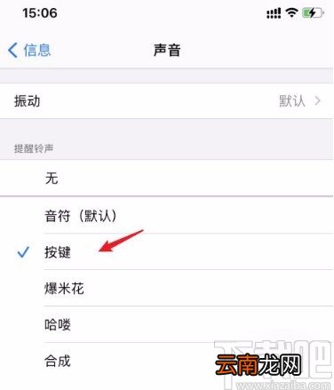 苹果手机设置短信提示音的方法