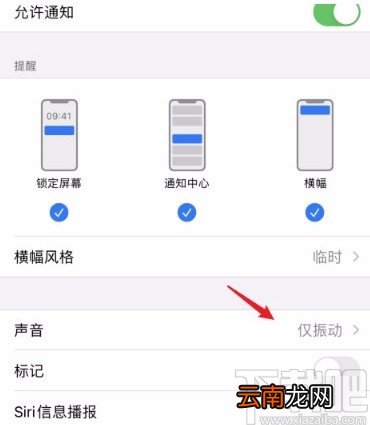 苹果手机设置短信提示音的方法