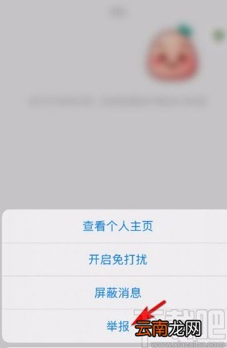 小红书app举报聊天对象的方法