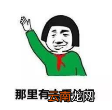 猫屎是什么类型垃圾？狗屎怎么垃圾分类？